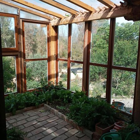 Làconi Country Living School 게스트하우스 외부 사진